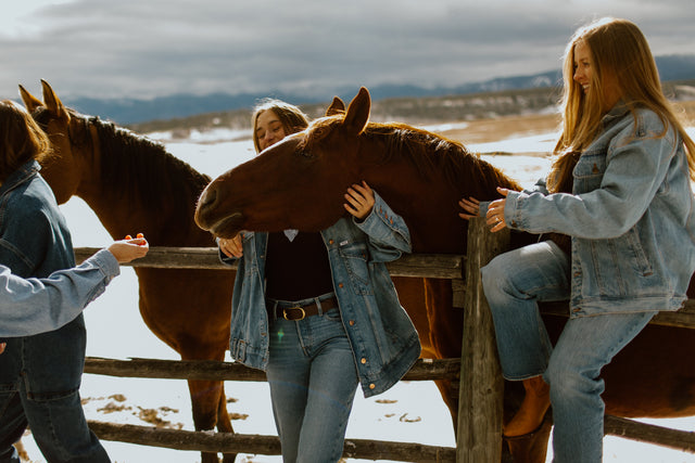 Western Lover