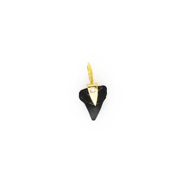 SHARK TOOTH CHARM