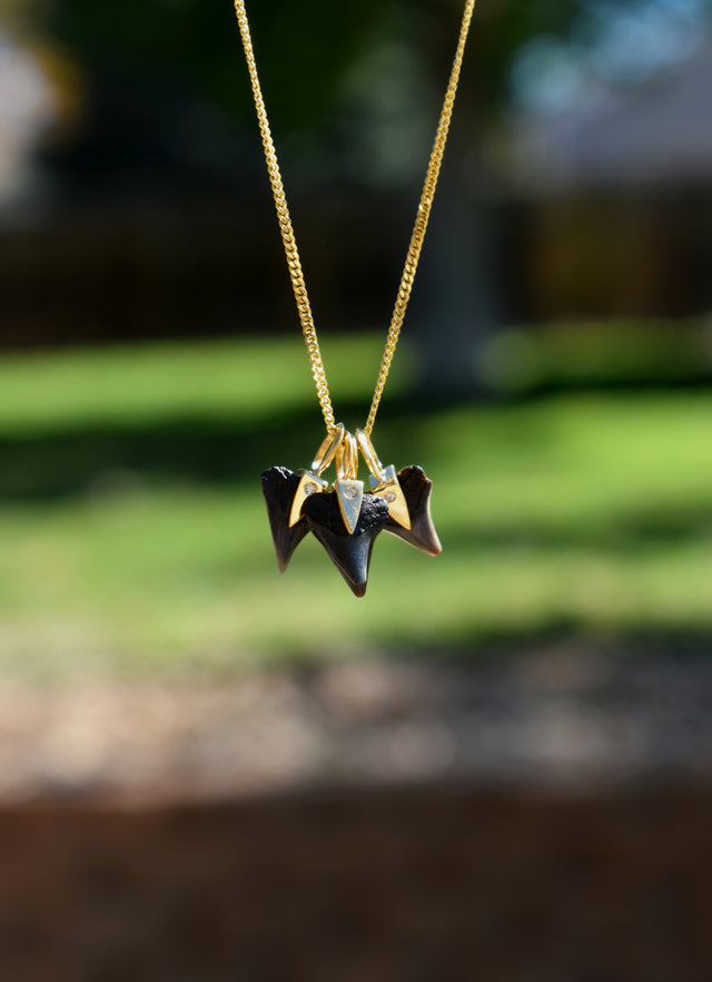 SHARK TOOTH CHARM