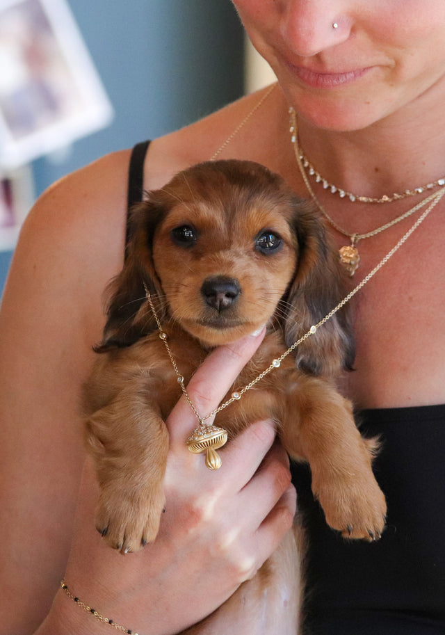 A friend of jack adoption