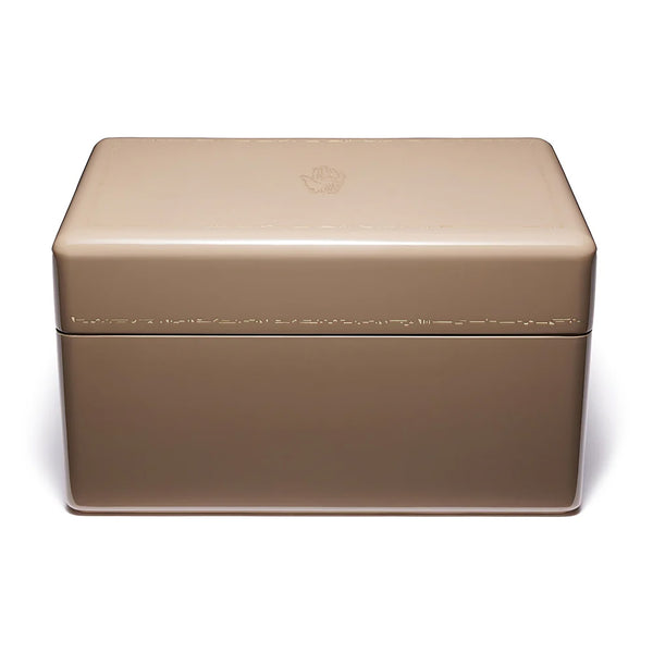 LARGE TRUNK IN TAUPE